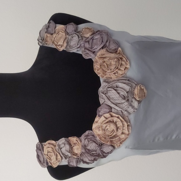 BARASCHI for ANTHROPOLOGIE Slate shift dress size 4 with pockets! - Picture 3 of 11